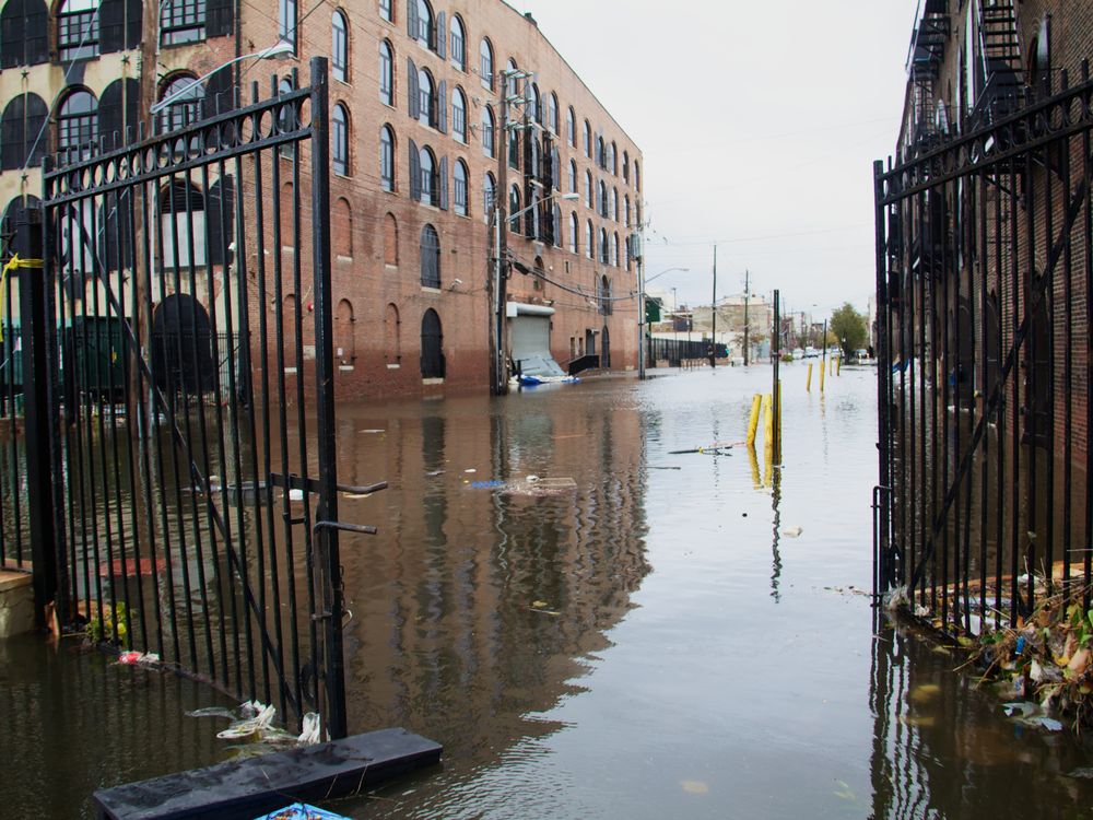 Red Hook Hurricane Sandy