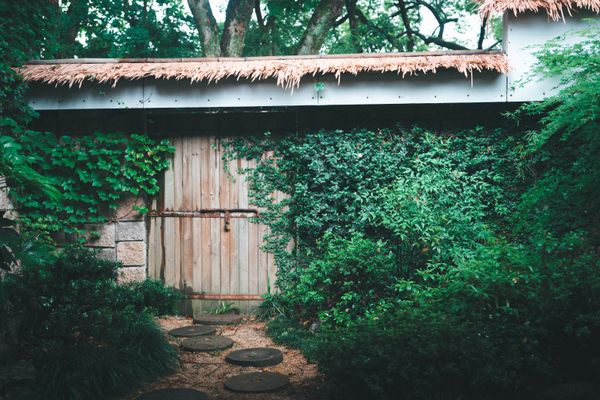 Overgrown Tranquility thumbnail