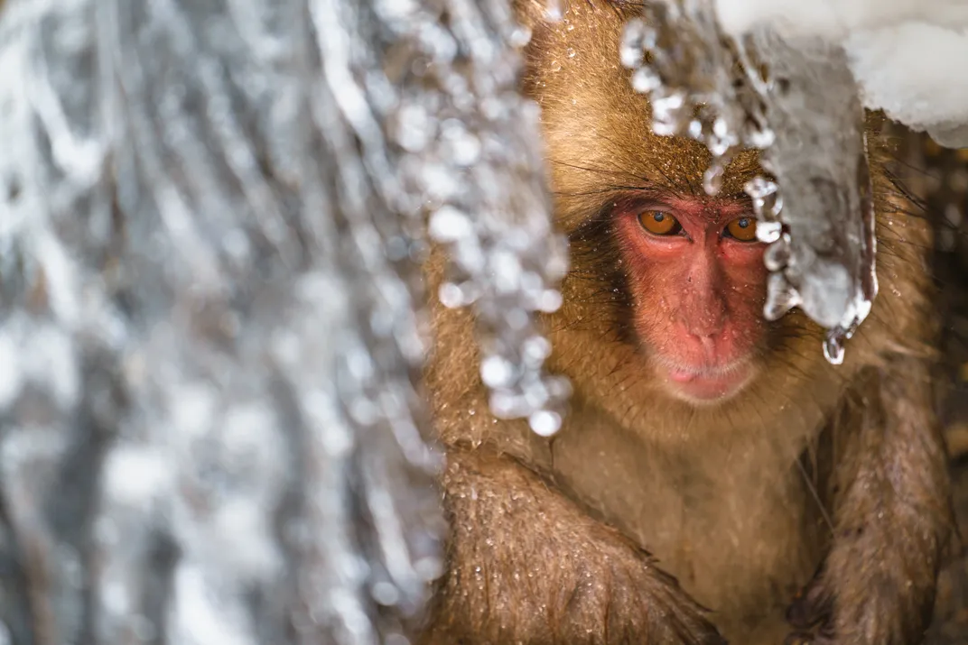 Get an Eyeful of These 15 Photos of Incredibly Cool Icicles