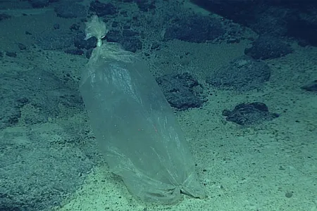 Plastic ice bag found by a NOAA expedition to the Marianas in 2016