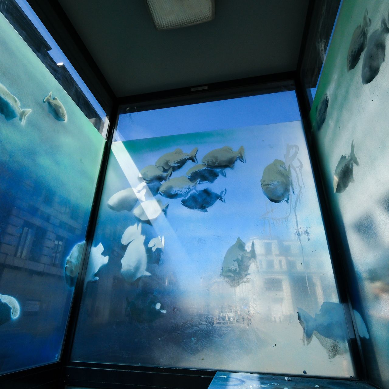 Banksy Transformed This Police Box Into a Piranha Tank. Soon, the
