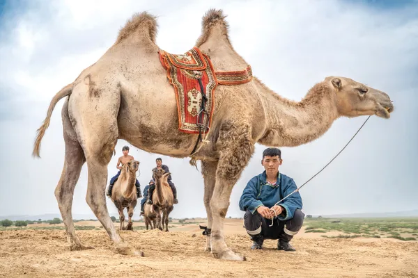 Camel Herders thumbnail