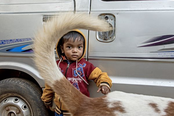 Framed by a Moment thumbnail