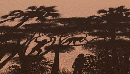 Seven Million Years Ago, the Oldest Known Early Human Was Already Walking