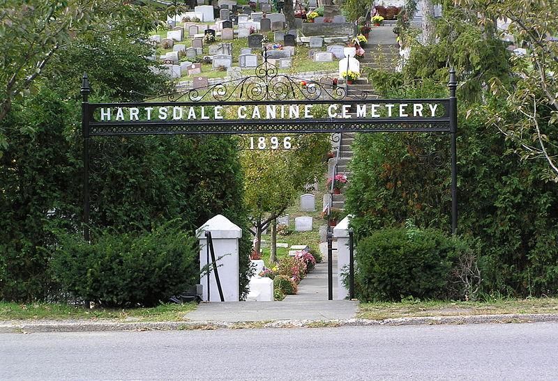 Image shows entrance to Hartsdale Pet Cemetery & Crematory in New York. Bushes flank both sides of a stairway with a wrought iron sign above that reads "Hartsdale Canine Cemetery." The year 1896 is displayed below the text.