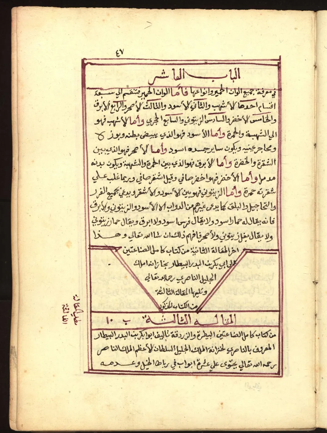 Page from Abu Bakr's 14th-century guide to the professions of veterinary medicine and horse breeding