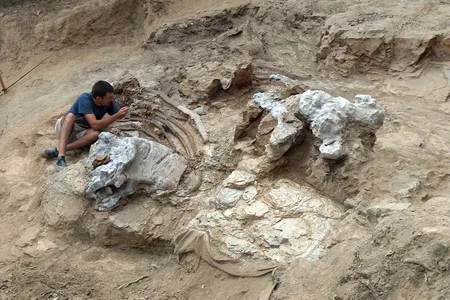 Paleontologists unearthed the fossilized remains of three individuals, including a pair of nearly complete feet.