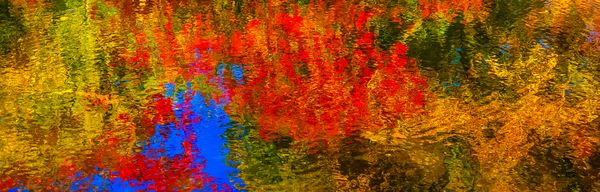 Autumn Impressionism thumbnail