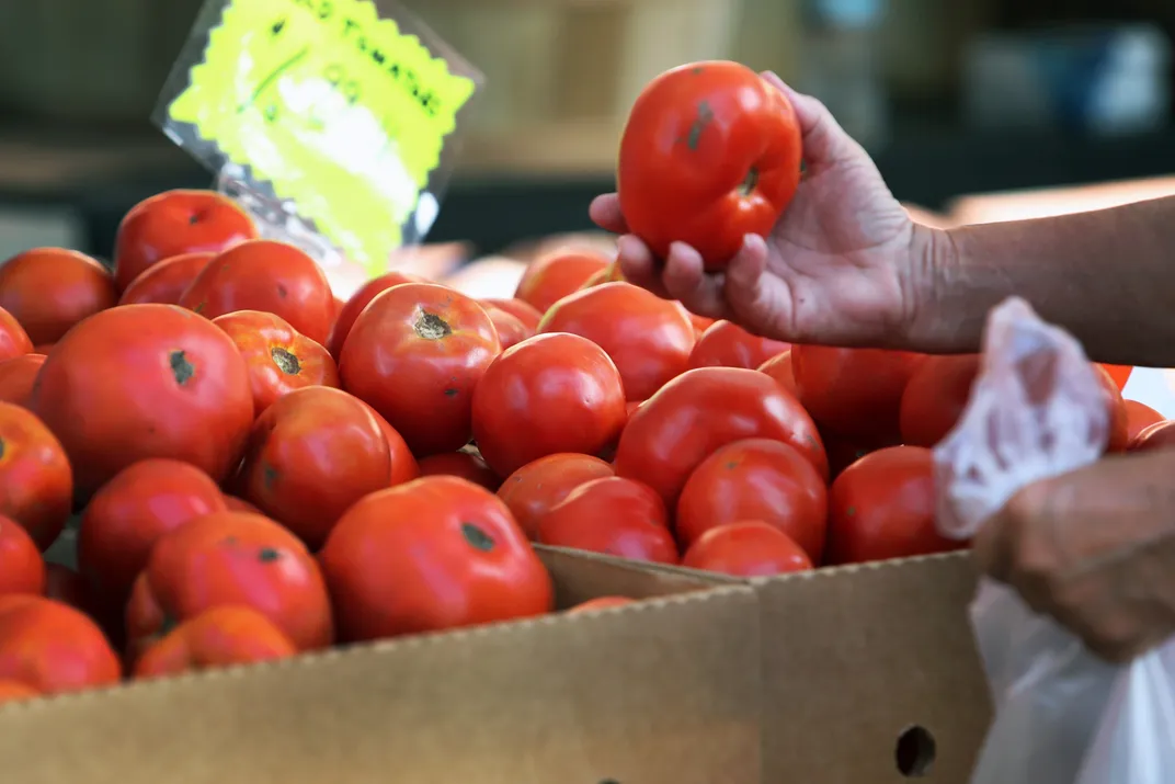 A shopper browses for tomatoes at the Salem Farmers' Market