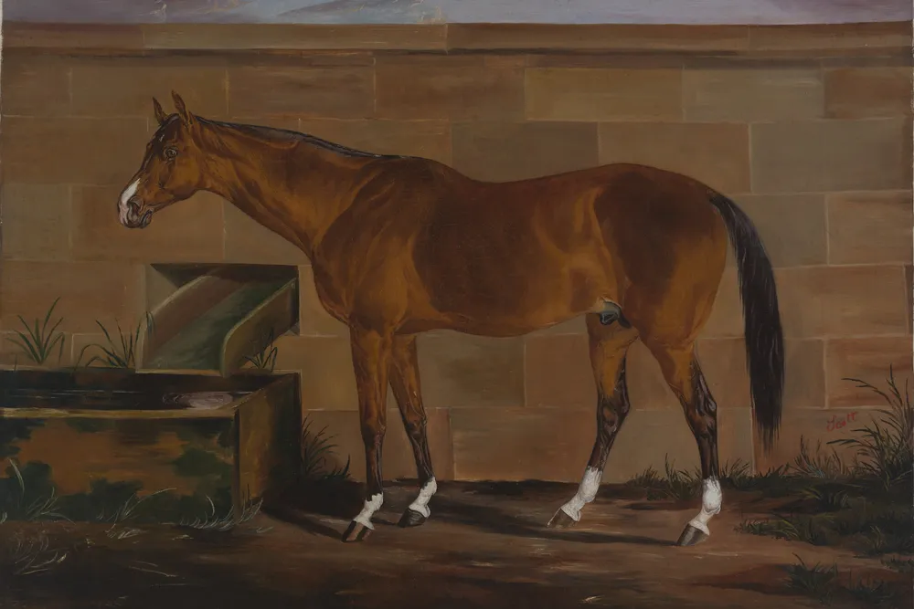 Portrait of Lexington, Thomas J. Scott, ca. 1857