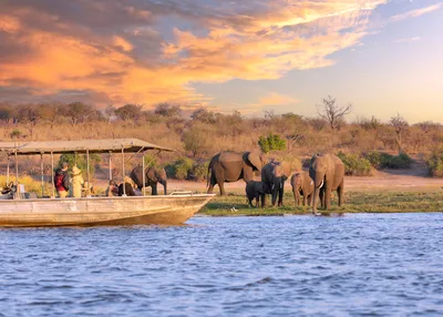 tailor-made-travel-botswana