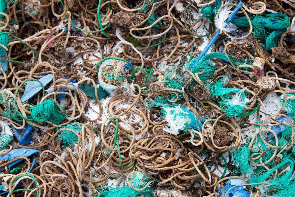 Mullion Island Waste