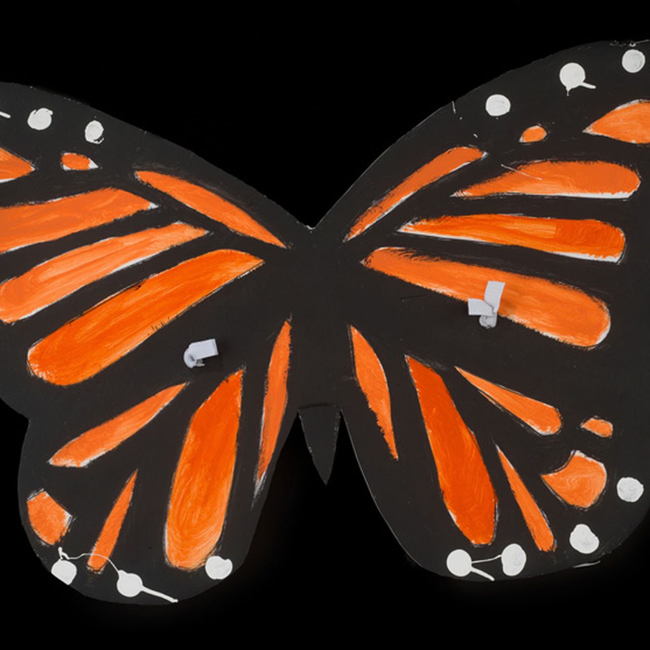 Monarch Butterfly Wings Single Gene Controls Variety Of Wing Patterns
