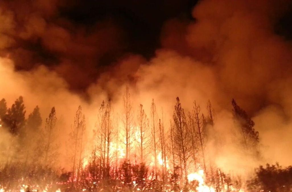 The_Rim_Fire_in_the_Stanislaus_National_Forest_near_in_California_began_on_Aug._17,_2013-0004.jpg