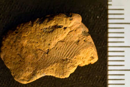 The find marks the first ancient fingerprint recorded at the Ness of Brodgar archaeological site.