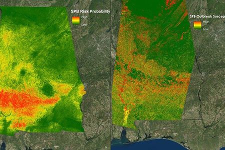 Images created by NASA with satellite data helped the U.S. Department of Agriculture analyze outbreak patterns for southern pine beetles in Alabama, in spring 2016.