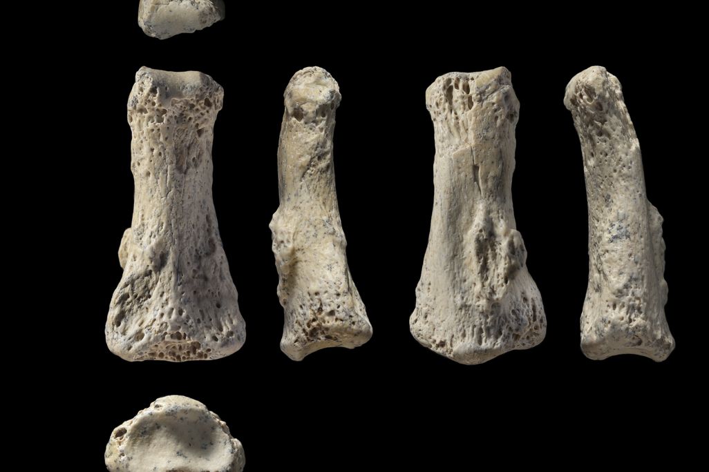fingerbones.jpg