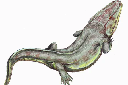An artist&rsquo;s reconstruction of Rhinesuchus, a rhinesuchid temnospondyl