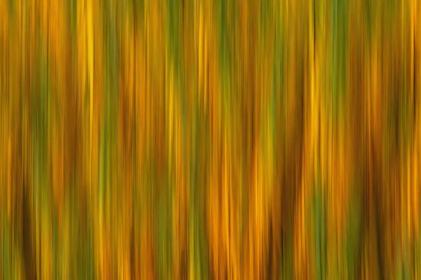 Autumn Blur thumbnail