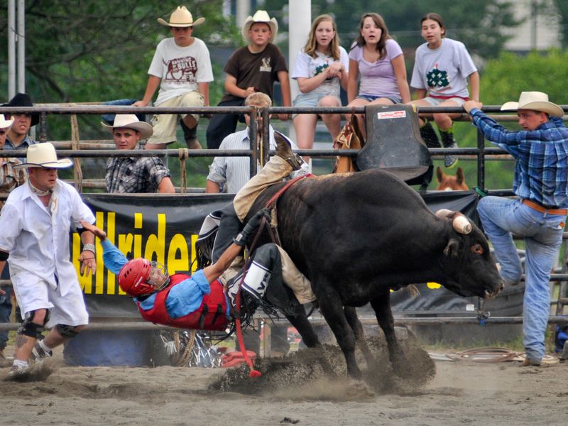 Rodeo Show in New Jersey | Smithsonian Photo Contest | Smithsonian Magazine