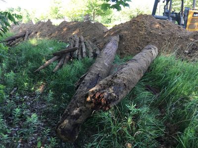 Logs discovered under 168th Avenue in Grand Haven Township, Michigan 
