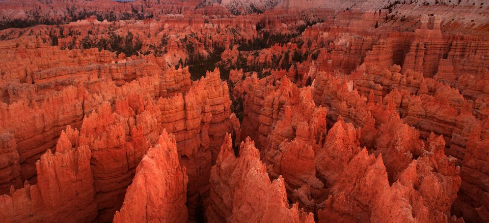  The legendary hoodoos of Bryce Canyon 