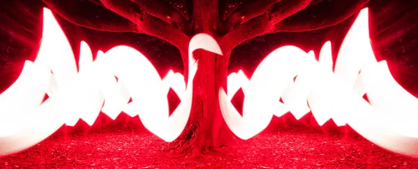 The Ancestral Light thumbnail