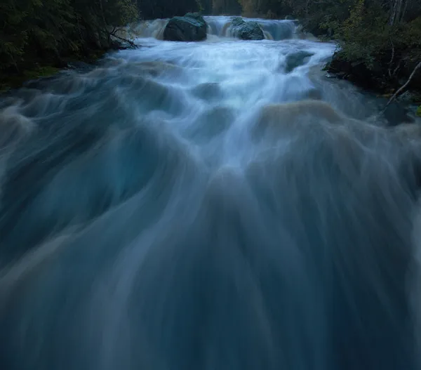 The Shape of Water thumbnail