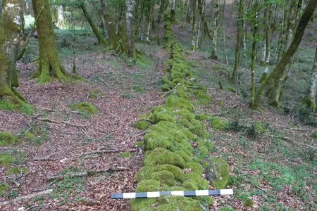 The ancient wall was discovered in a forest in southern Italy.