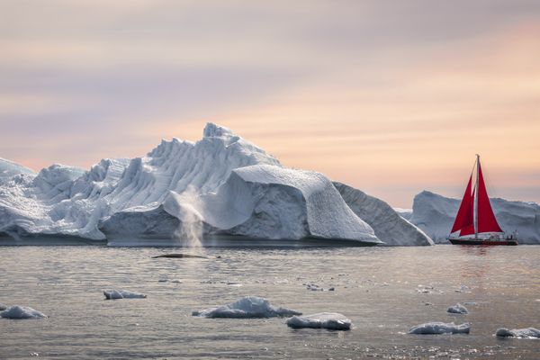 Red Sails of the Arctic thumbnail