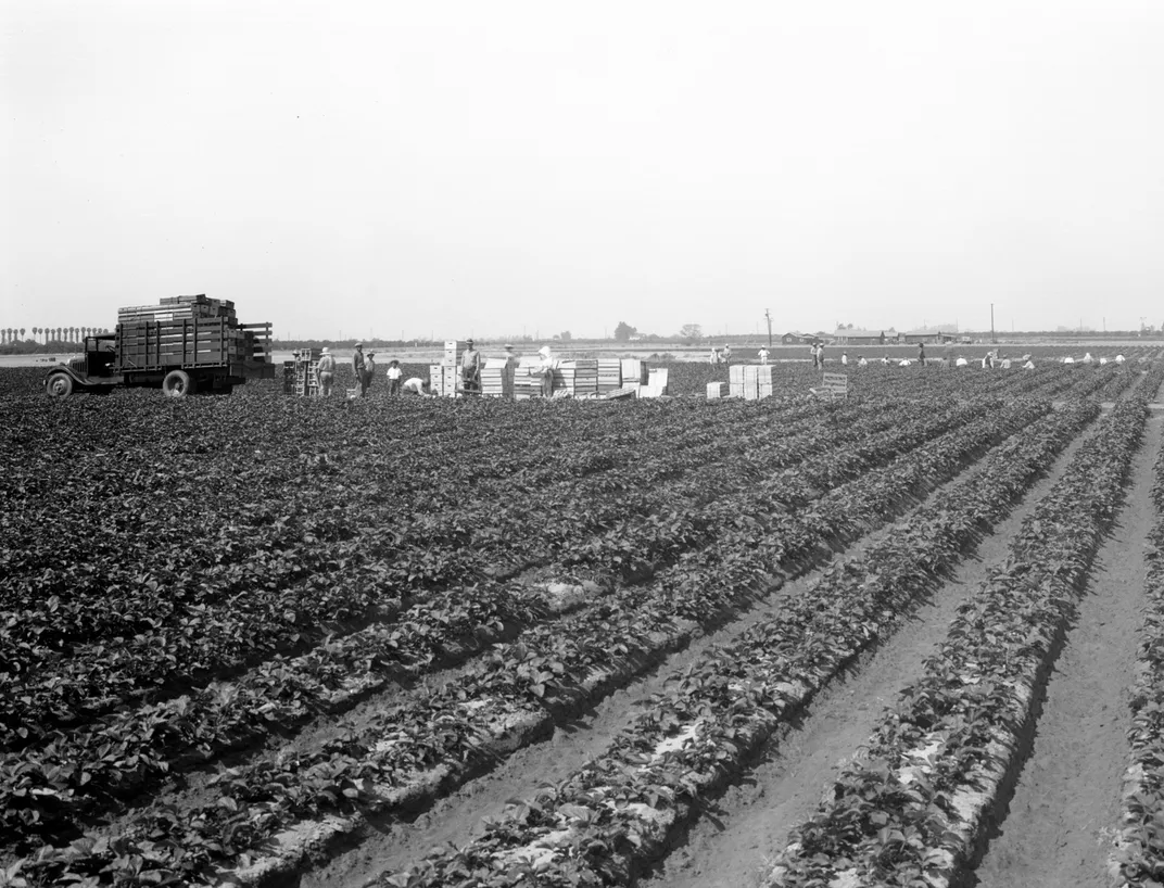 In the 1930s, Orange County was starting to transition from a land of orange groves and strawberry fields.