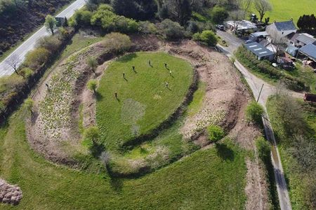 The Neolithic-Era henge was completely obscured by overgrown vegetation.&nbsp;