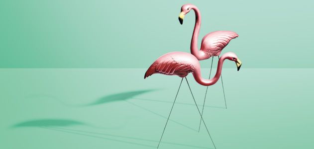 Plastic Flamingos