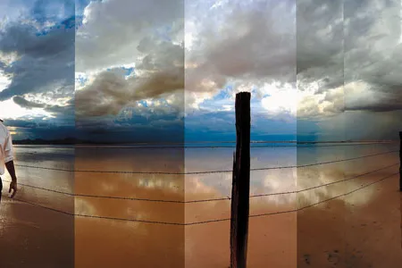 Auto Immune Response #6, 2004 by artist and photographer Will Wilson.