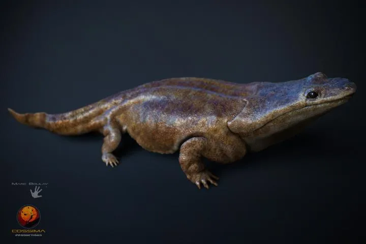 ancient salamander