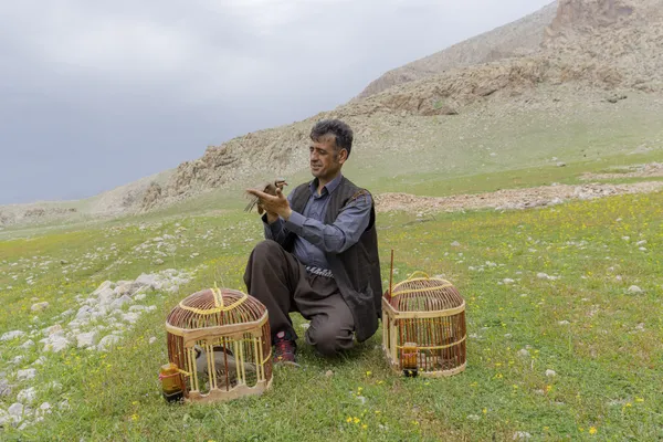 Untitled (28) thumbnail