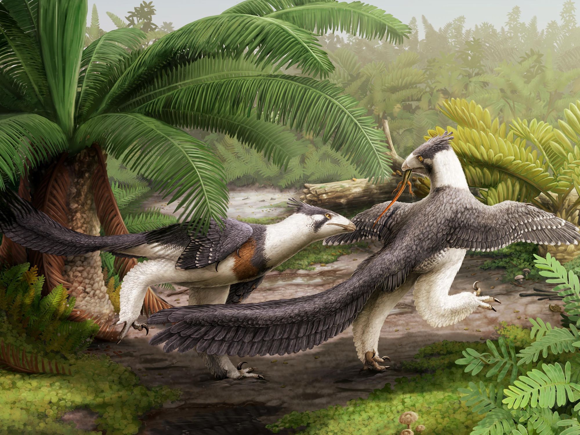 Discovery of Raptor-Like Dinosaur Adds a New Wrinkle to the Origin of Birds
