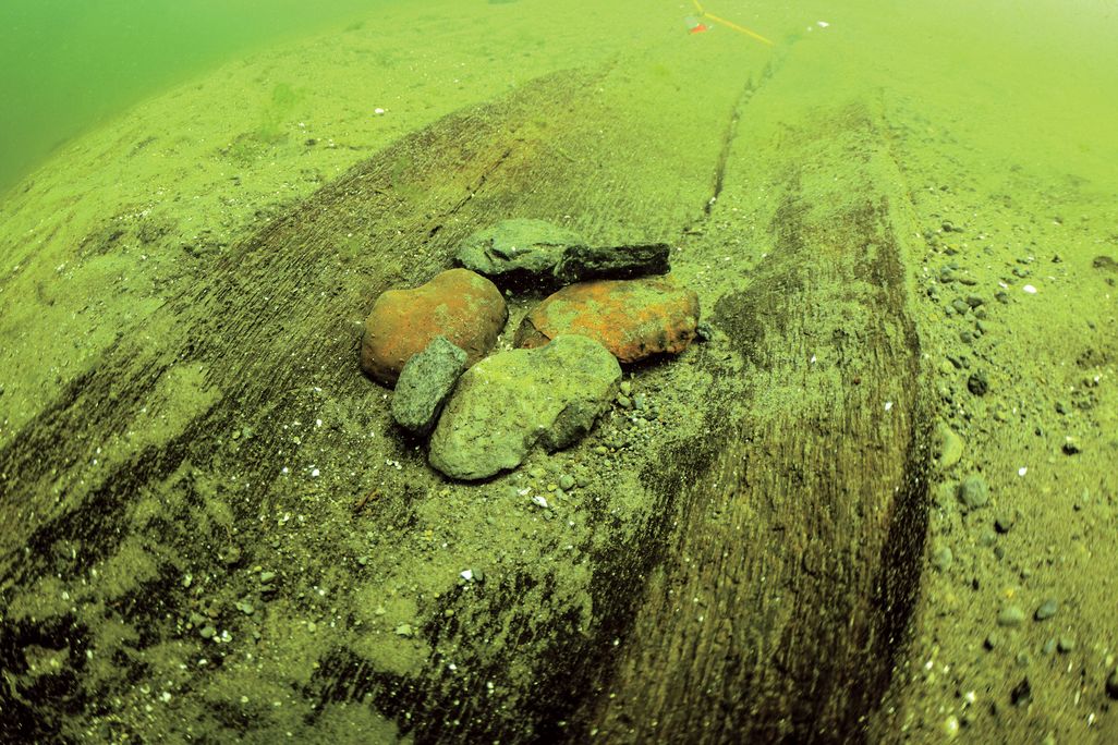 a dug out canoe in green murky water