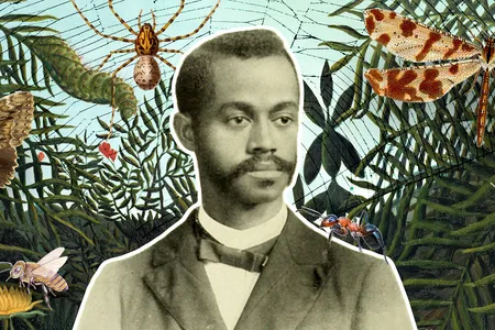 Researchers are rediscovering the forgotten legacy of Charles Henry Turner.