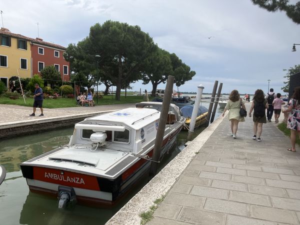 Emergency, Venice-Style thumbnail