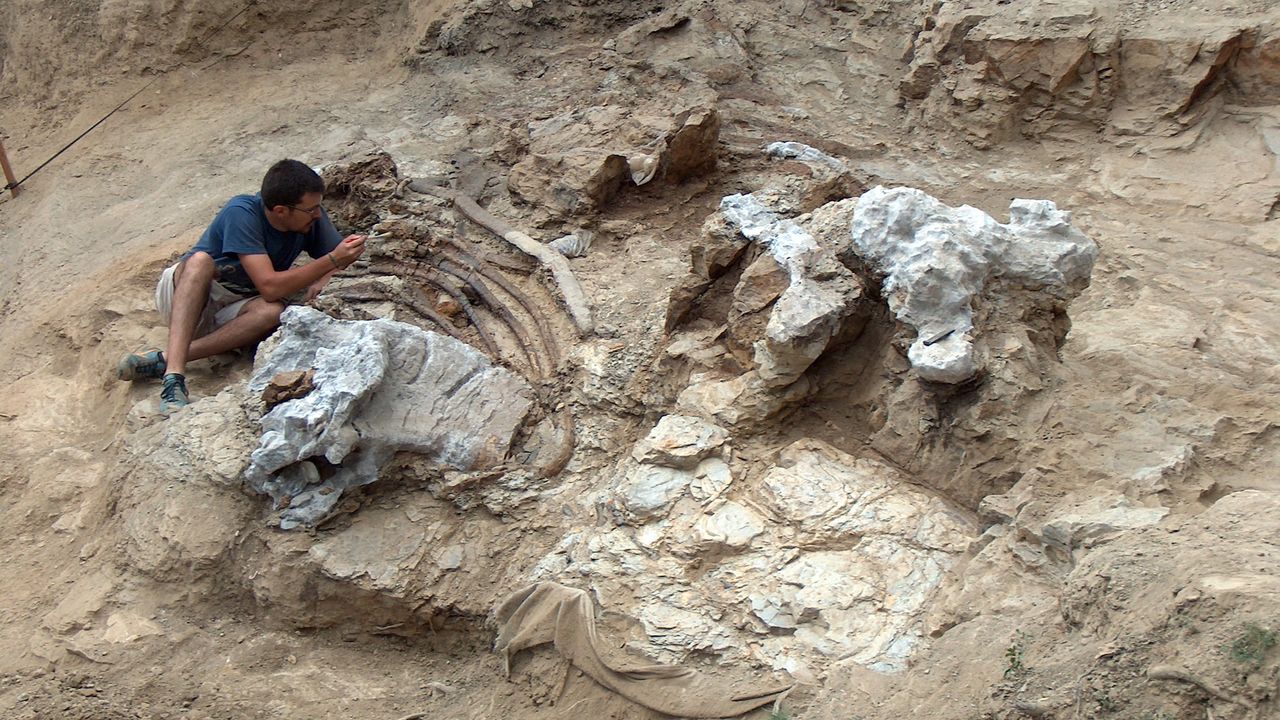 New 'Giant' Species of Long-Necked Dinosaur Discovered in Spain