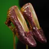 Dorothy's Ruby Slippers From 'The Wizard of Oz' Sell for a Record-Breaking $28 Million icon