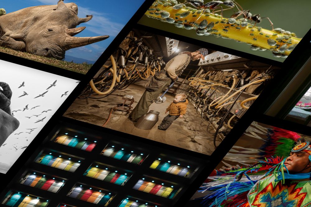 PhotoContest2022-Header-v2.jpg