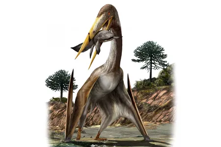 The largest pterosaurs had wingspans like small aircraft and longer necks than giraffes. 