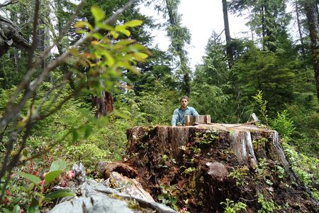 Torrance Coste of the Wilderness Committee illustrates the immensity of the missing Carmanah cedar in 2012.