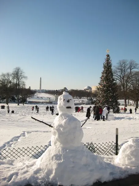 20110520102313snowman.jpg