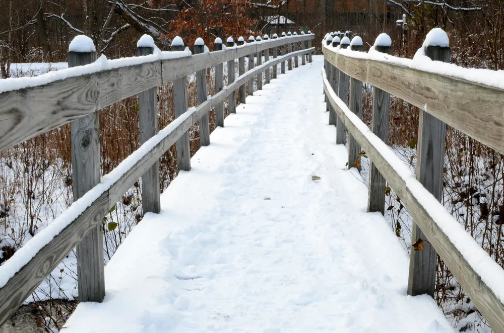 Walkway leading to the one of the ponds at Sapsucker Woods at the Cornell Lab of Ornithology.