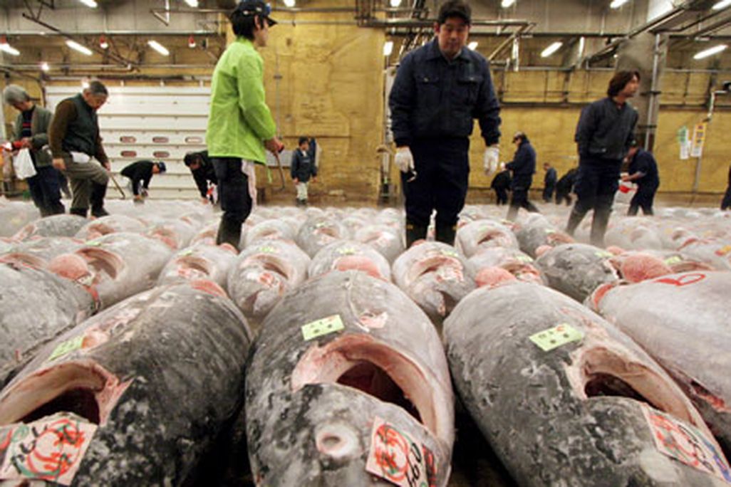 fishery631.jpg