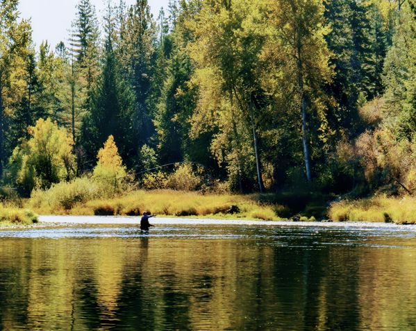 Fly Fishing on The River thumbnail