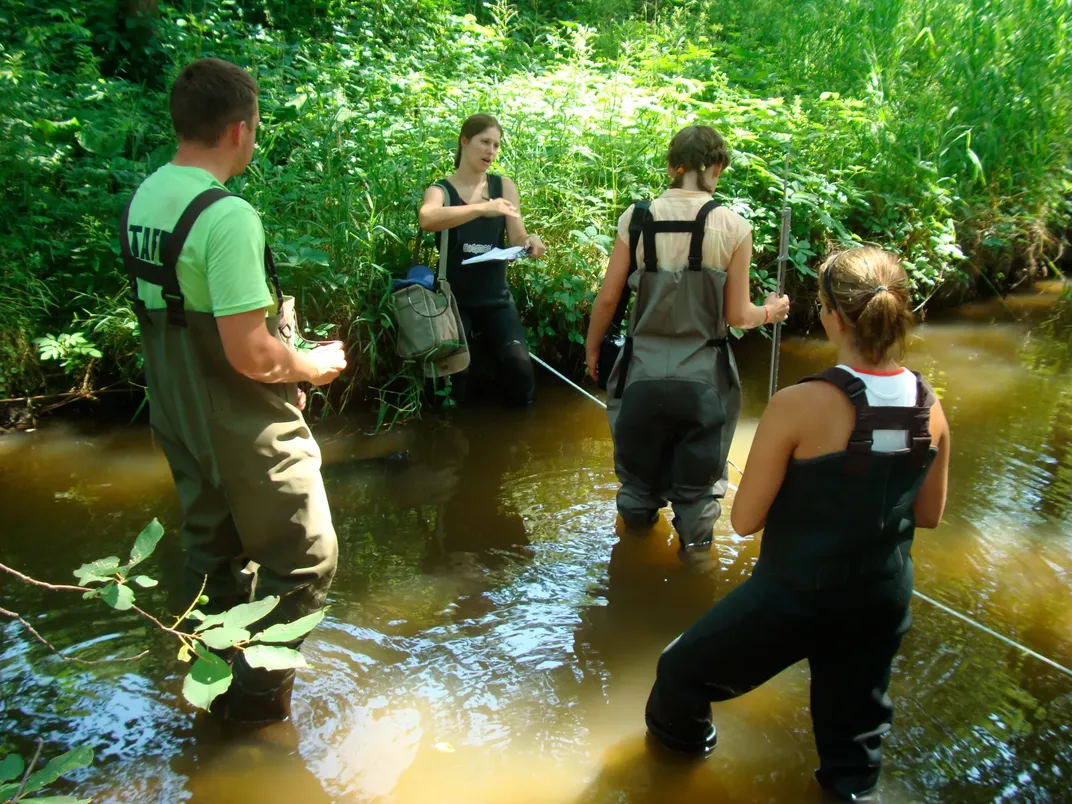 Volunteers wade in the waters of the national park's many creeks, streams and marshes.